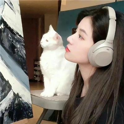 汤姆维特
